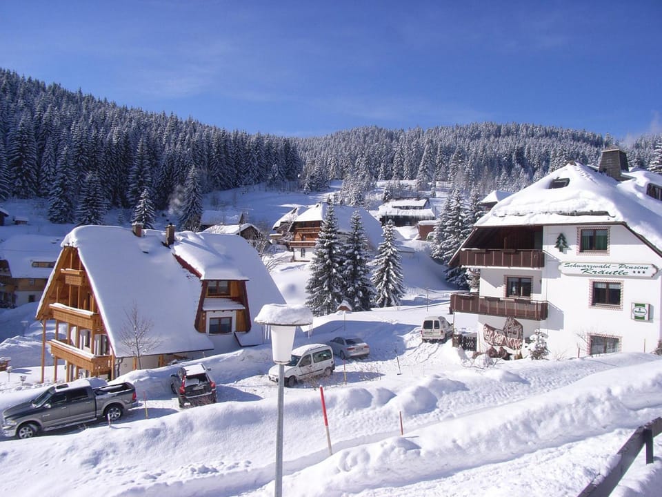 Schwarzwald-Hotel Kraeutle Hotel in Schluchsee
