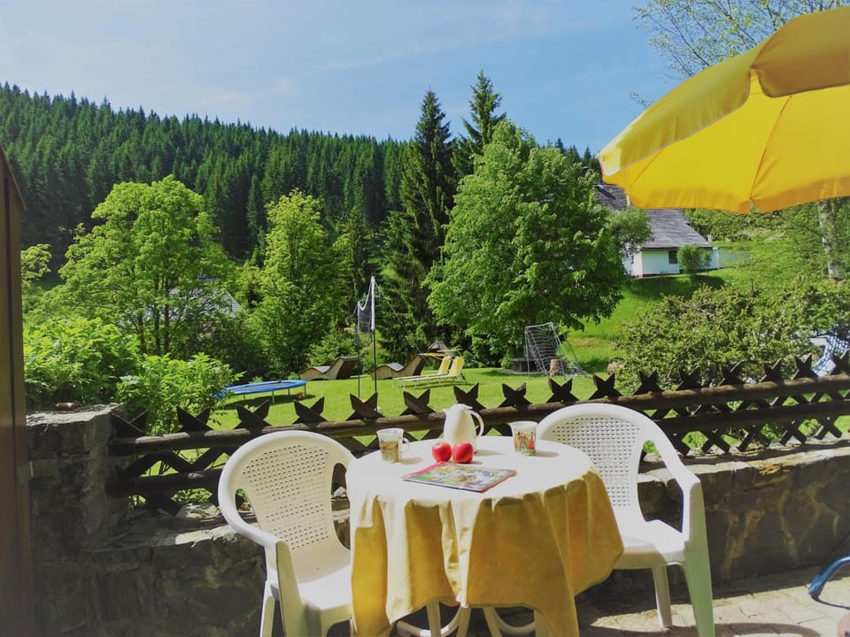 Schwarzwald-Hotel Kraeutle Hotel in Schluchsee