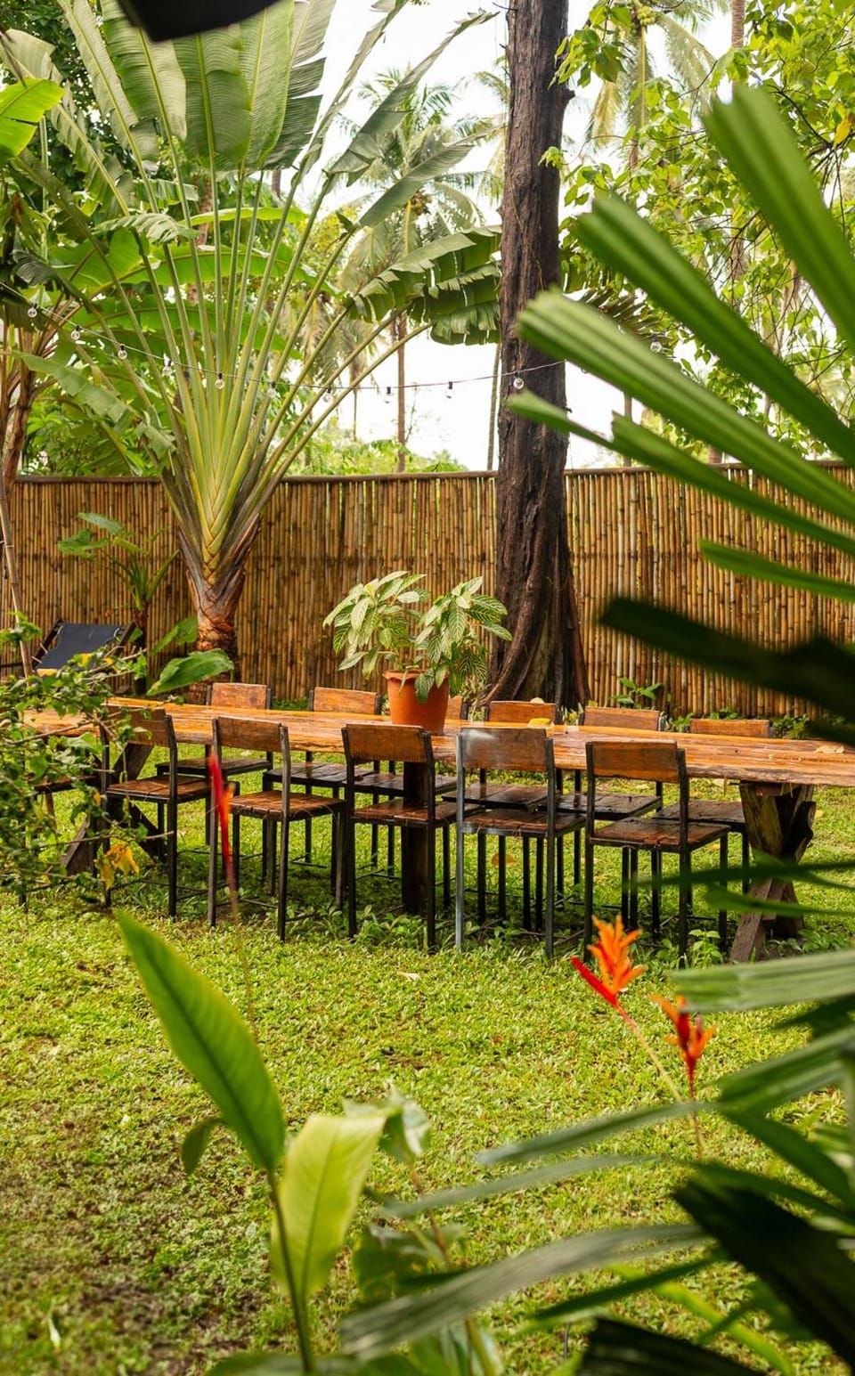 The mellow mango Resort in Sala Dan