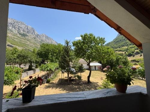 Paja Guesthouse - Camping Hotel in Podgorica Municipality, Montenegro