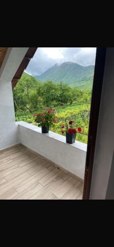 Paja Guesthouse - Camping Hotel in Podgorica Municipality, Montenegro