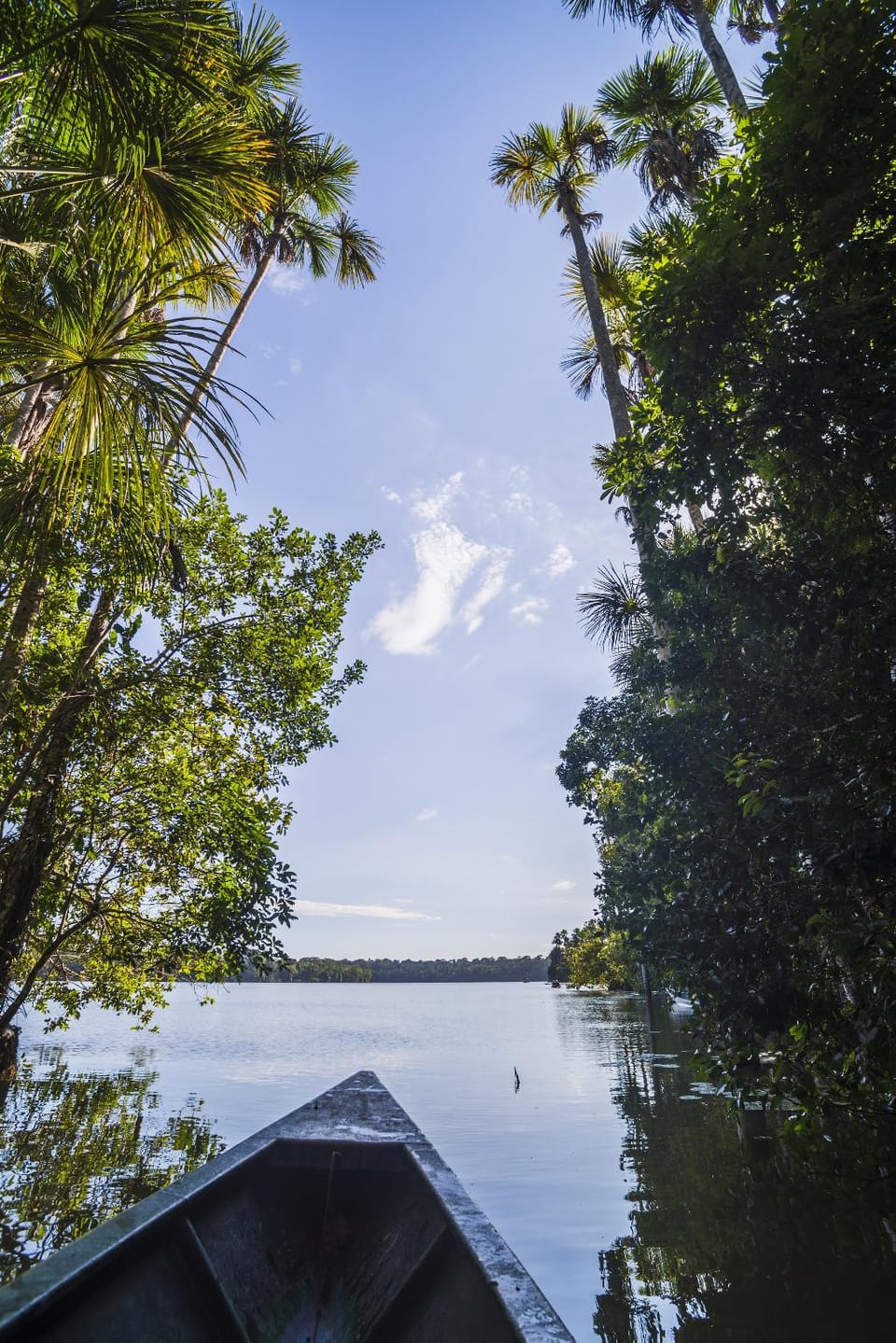 Pirahna Ecolodge Lodge in Ecuador