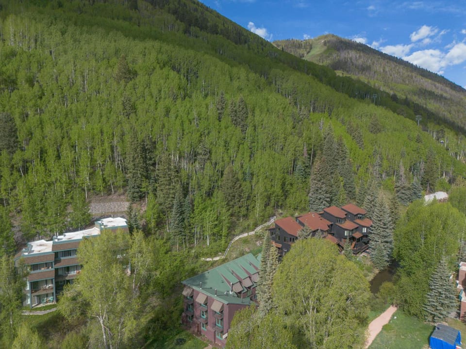 Manitou Lodge 10 by Alpine Lodging Telluride Hotel in Telluride