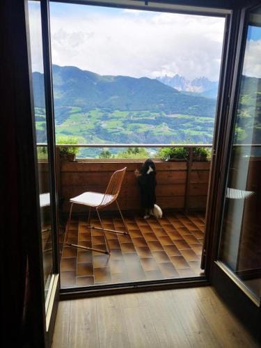Biogasthaus Plonerhof "sweet Dolomites view" Hotel in Trentino-South Tyrol