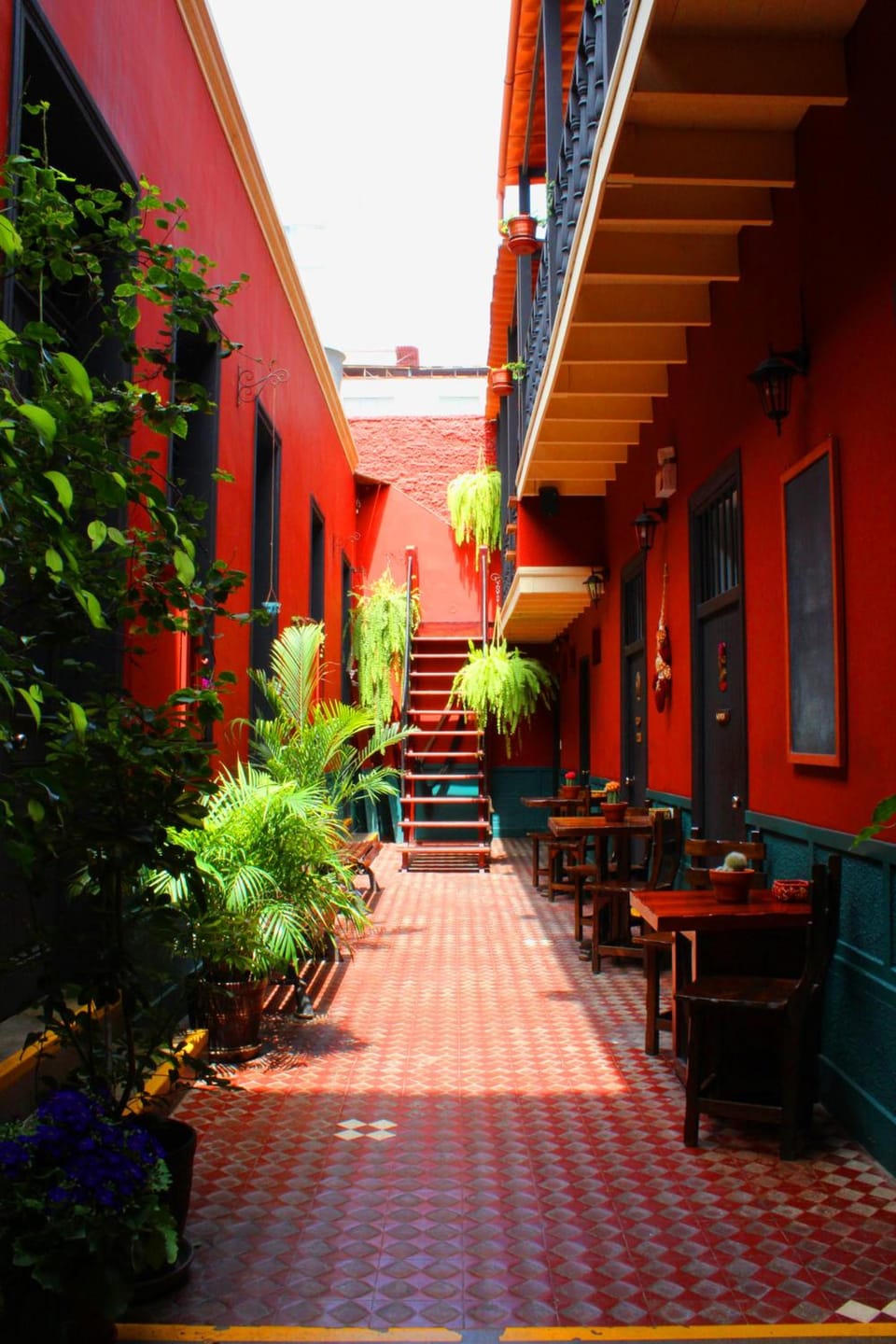 KACLLA, Urban Lodge - The Healing Dog Experience Hostel in Miraflores