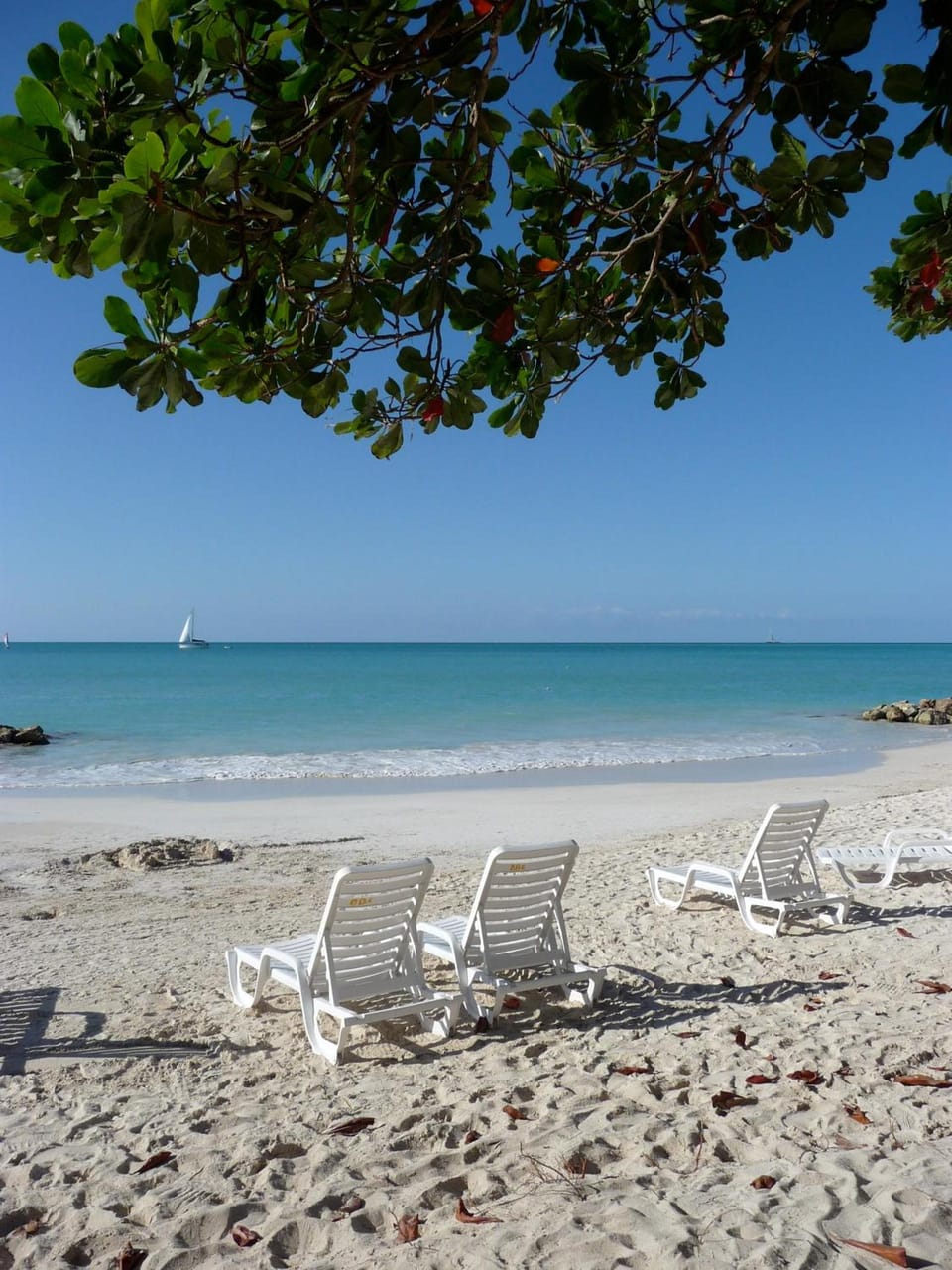 Buccaneer Beach Club Apartment hotel in Antigua and Barbuda