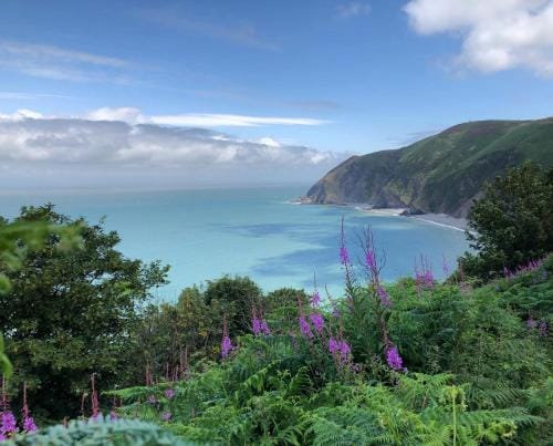 Exmoor retreat on Two Moors Way Hotel in West Somerset District