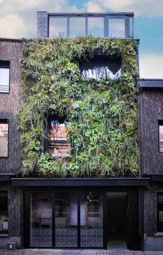 M-Street art lodging - Self check-in Hotel in Leuven