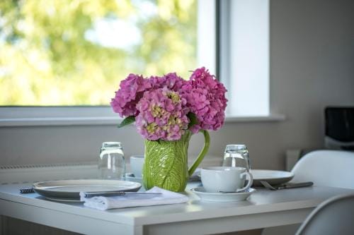 Stibb Hollow Farm Hotel in North Devon District