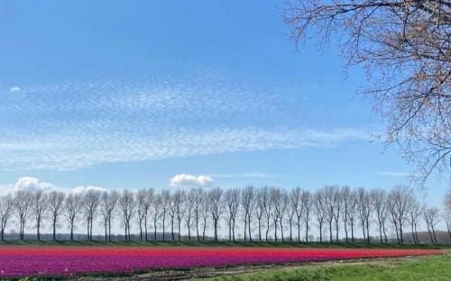 't stippie Hotel in Zeeland, Netherlands