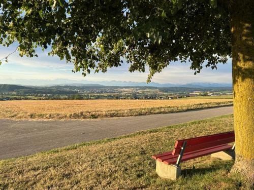 Bed & Breakfast Gaetzi Hotel in Canton of Zurich