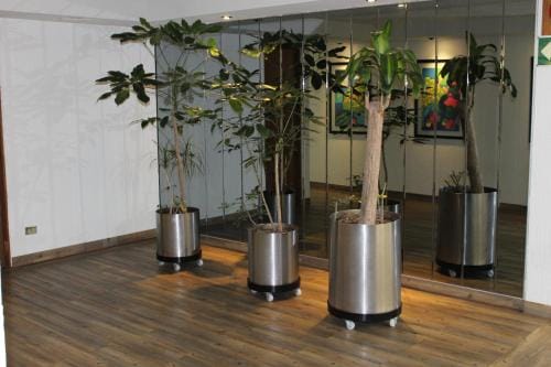 Hotel del Sur Hotel in Mexico City