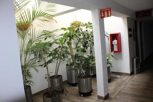 Hotel del Sur Hotel in Mexico City