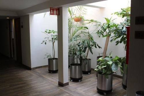 Hotel del Sur Hotel in Mexico City