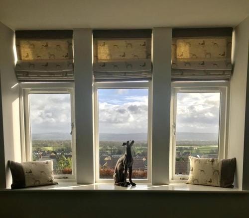 The Dog Inn Inn in Ribble Valley District