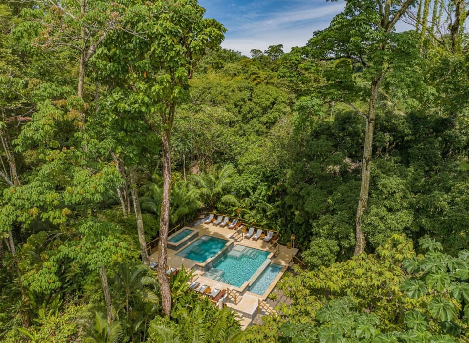 Copa de Arbol Beach & Rainforest Resort Resort in Puntarenas Province