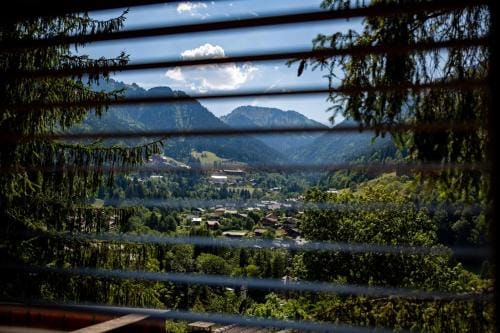Chalet dans les Arbres Hotel in Haute-Savoie