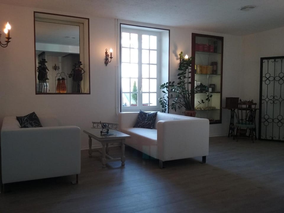 Hotel du Commerce Chez Stephane Hotel in Nouvelle-Aquitaine