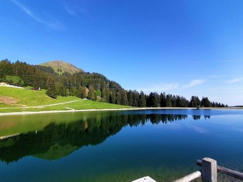 Apartment Sepp Hotel in Salzburgerland