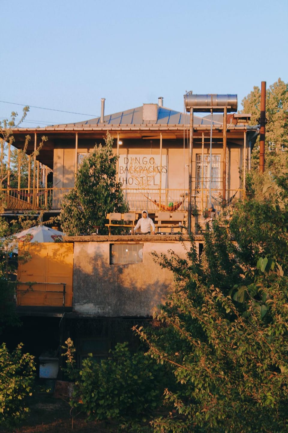 Dingo Backpackers Hostel Hostel in Georgia