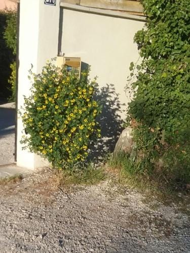 UNE CHAMBRE EN VILLE Hotel in L'Isle-sur-la-Sorgue