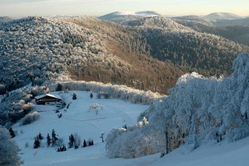 Le Nid Douillet Hotel in Switzerland