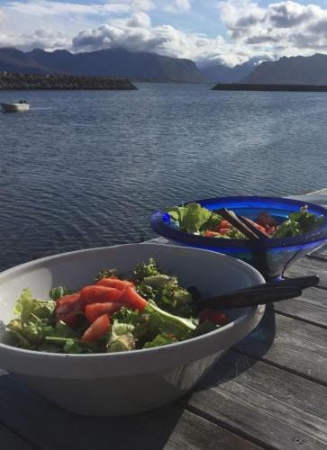 Villa Lofoten - Edvardbua Hotel in Lofoten