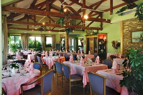 Hotel Restaurant La Tour Romaine - Haguenau - Strasbourg Nord Hotel in Haguenau