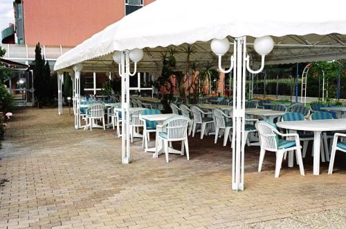 Hotel Restaurant La Tour Romaine - Haguenau - Strasbourg Nord Hotel in Haguenau