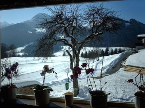 Gasthof Mairwirt Hotel in Salzburgerland