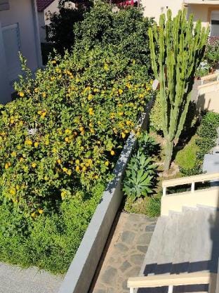 Lefteris Insta-worthy Studio with Balcony Hotel in Ialysos