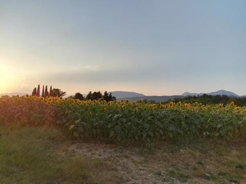 Falco Bianco Hotel in Friuli-Venezia Giulia