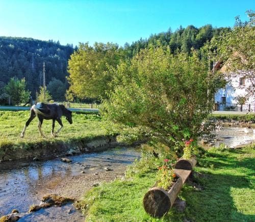 Guest House Koncar Hotel in Plitvice Lakes Park