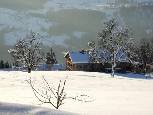 Haus Adlerhorst Hotel in Vorarlberg, Austria