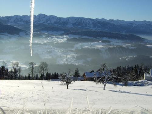Haus Adlerhorst Hotel in Vorarlberg, Austria