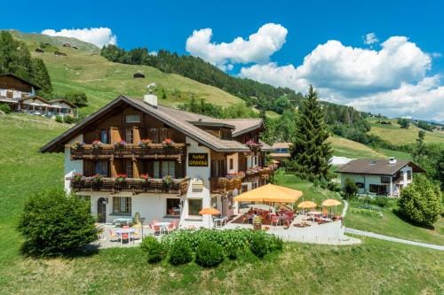Hotel Gravas Lodge - Das Hotel fur Gaste mit Hund Hotel in Canton of Grisons