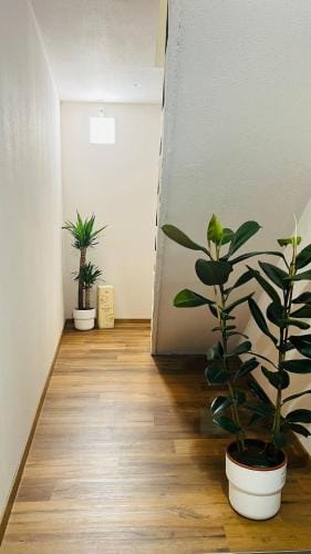 Ca’ Bruno Masaneta Hotel in Grado