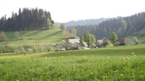 Landgasthof-Hotel Adler Hotel in Canton of Bern (Region)