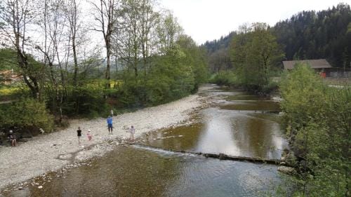 Landgasthof-Hotel Adler Hotel in Canton of Bern (Region)