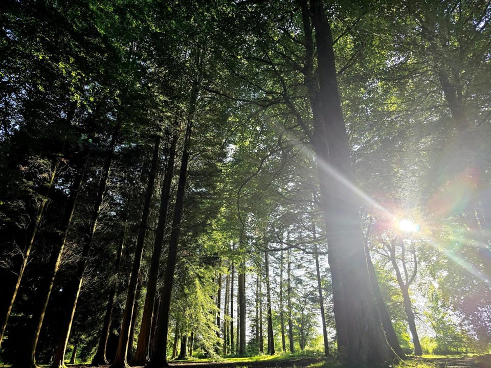 Littledean House Hotel Hotel in Forest of Dean