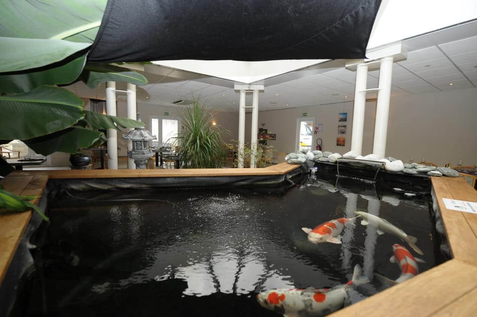 Au Sauvage Hotel in Centre-Val de Loire