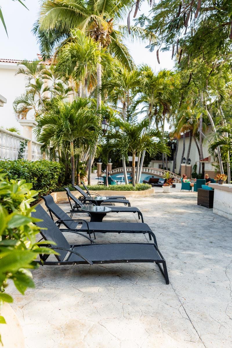 Hotel Mt Hotel in Punta Cana