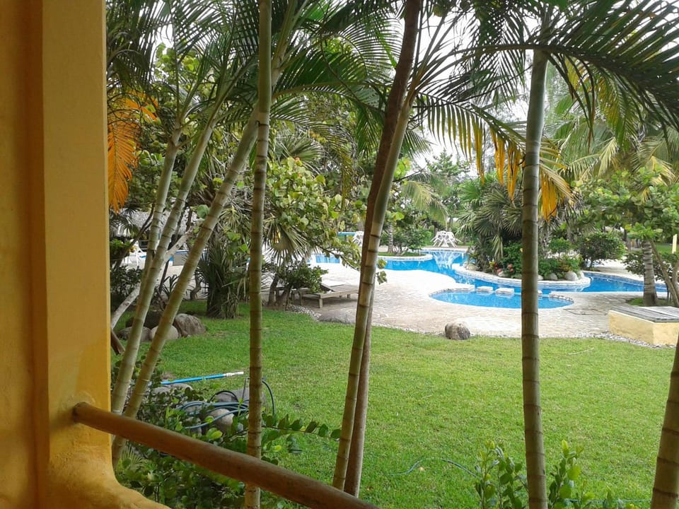 View