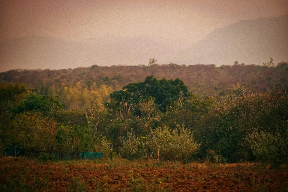 Surrounding environment