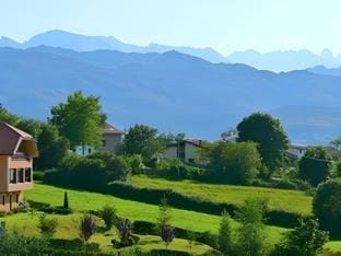 Surrounding environment