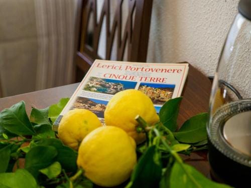 Macaia Room #2 with AC Hotel in Vernazza