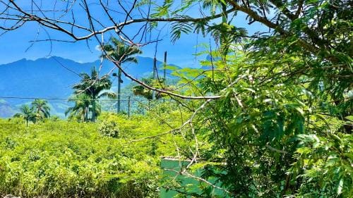 Canto do Jao Inn in Paraty