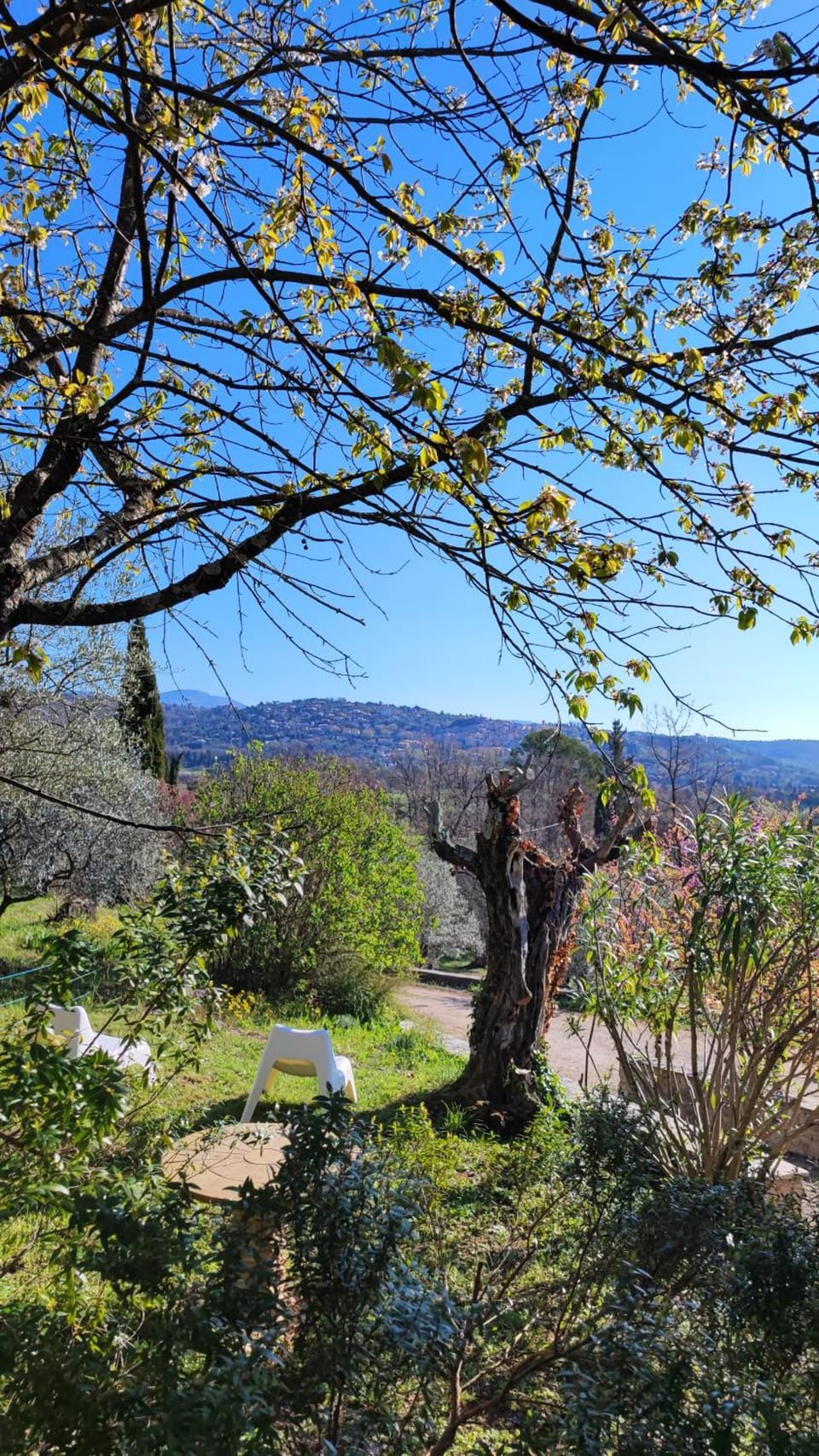 Le Mas Melusine Hotel in Fayence