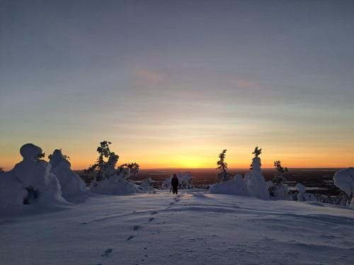 Northernlight guesthouse Hotel in Lapland