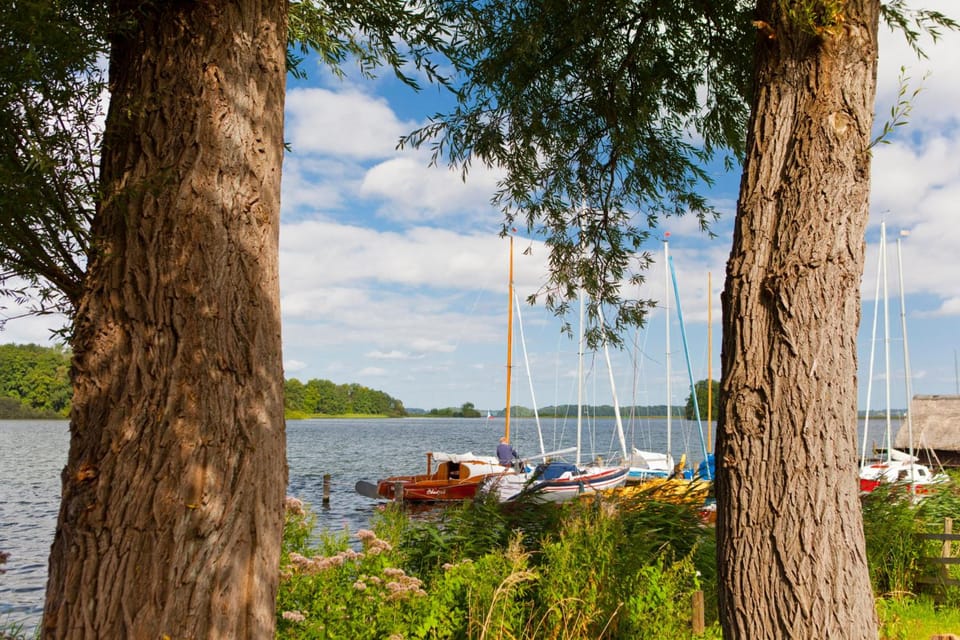 Surrounding environment
